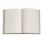 Paperblanks zápisník Verne, Around the World mini nelinkovaný 6500-5