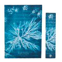 Anna Atkins’ Cyanotypes