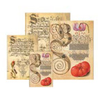 Diáře, adresáře a zápisníky Paperblanks kolekce Mira Botanica 
