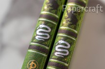 Zápisník Paperblanks Slytherin midi linkovaný PBD6513