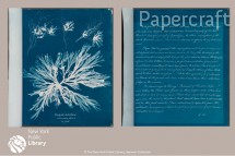Zápisník Paperblanks Sea Flowers Flexis midi linkovaný FB1367-0