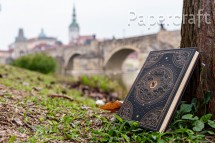 Zápisník Paperblanks Shadows of Navarre ultra nelinkovaný PB9987-1