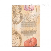 Zápisník Paperblanks Lily & Tomato Flexis mini linkovaný 9350-3