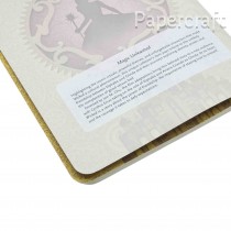 Sešit Paperblanks Magic Unleashed A5 linkovaný CBD6501