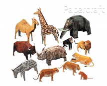 Papírový model - 12 zvířat v ZOO (72399)