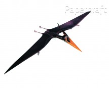 Papírový model - Pteranodon ingens (72487)