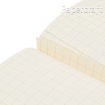 Sešit Paperblanks Temptation A6 čtverečkovaný CB1495-0