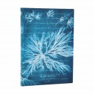 Zápisník Paperblanks Sea Flowers Flexis midi linkovaný FB1367-0