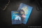 Sešit Paperblanks Escape to Hogwarts A5 linkovaný CBD6568