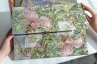 Zápisník Paperblanks Bindweed Fairy Flexis midi nelinkovaný FB9917-8