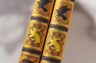 Zápisník Paperblanks Hufflepuff midi nelinkovaný PBD6518