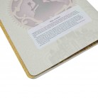 Sešit Paperblanks Magic Unleashed A4 tečkovaný CBD6499