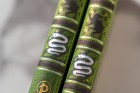 Zápisník Paperblanks Slytherin midi nelinkovaný PBD6514