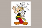 Diář Paperblanks 2026 Asterix the Gaul midi vertikální DE0766-2