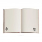 Zápisník Paperblanks Slytherin midi nelinkovaný PBD6514