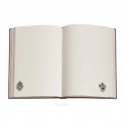 Zápisník Paperblanks Ravenclaw midi nelinkovaný PBD6516
