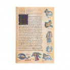 Paperblanks - Paperblanks diář 2022 Astronomica mini denní 7657-5