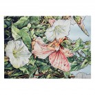 Desky na dokumenty Paperblanks Bindweed Fairy, 325x235x5mm PA9955-0