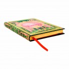 Zápisník Paperblanks The Magic of Wicked midi nelinkovaný PBD6440