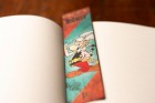 Diář Paperblanks 2026 Asterix the Gaul midi vertikální DE0766-2