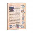 Paperblanks - Paperblanks zápisník Astronomica Flexis midi linkovaný 7289-8