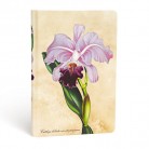 Paperblanks - Paperblanks zápisník Brazilian Orchid mini 3572-5, linkovaný